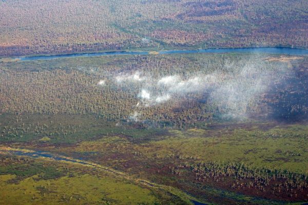 Clima no ayuda y reactivación de incendio amenaza reservas