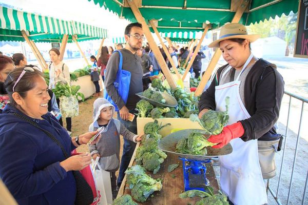 Mexicanos intercambian basura por alimentos en el mercado