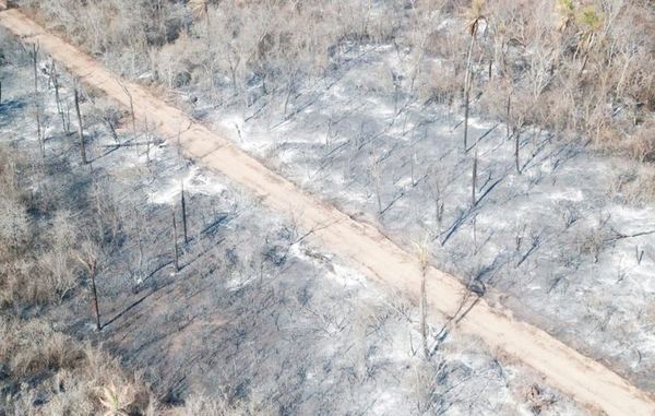 Reportan unas 140 nuevas bocas de incendio en el Dpto. de Alto Paraguay - Interior - ABC Color