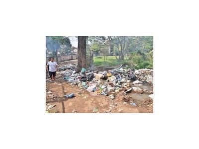 Proyecto sacará información de la basura