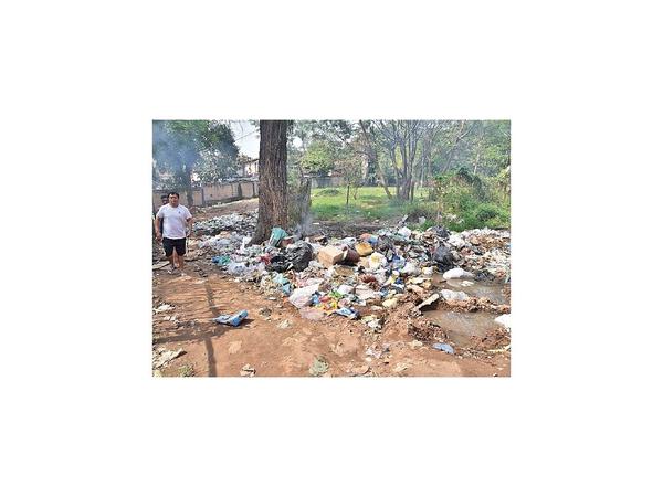 Proyecto sacará información de la basura
