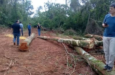 Daño ambiental: piden adecuar ley para forzar  compensación - Locales - ABC Color
