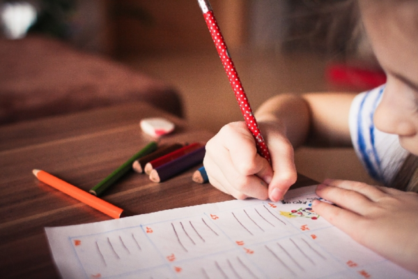 PGN 2020: Enfocado en mejorar la calidad y accesibilidad de la educación