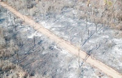 Roa habla de más de 100.000 hectáreas afectadas por incendios - Nacionales - ABC Color
