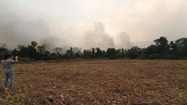 Incendio en el Parque Nacional Caazapá - Nacionales - ABC Color
