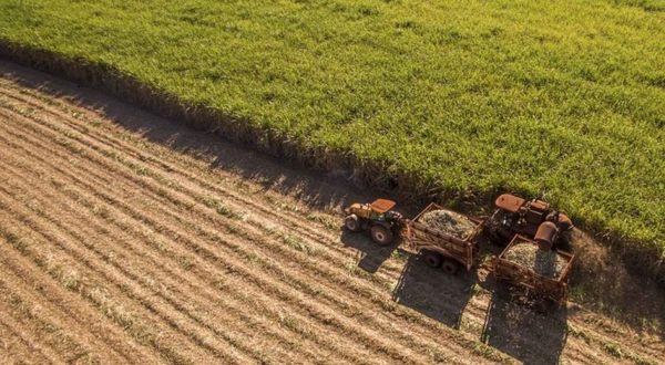 Créditos para agronegocios crecieron 28%