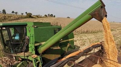 Sector sojero espera que producción mejore para el 2020