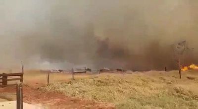 Incendio consume más 1.800 hectáreas de agroganadera en San Pedro