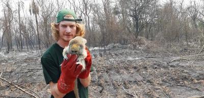 Lamentan enormes pérdidas y perjuicios a la biodiversidad del Chaco