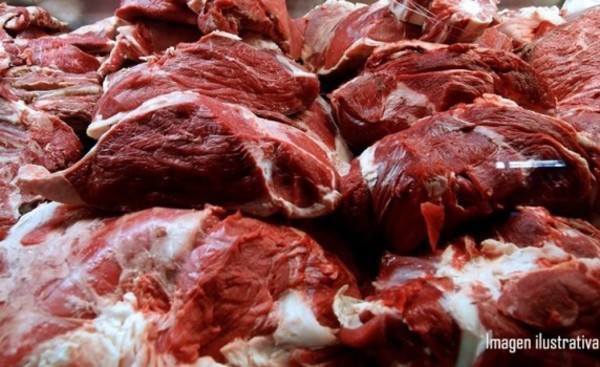 Camión con carne incautado por carecer de documentos