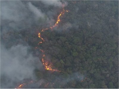 Se reportan más de 20 áreas de incendios forestales en Paraguay