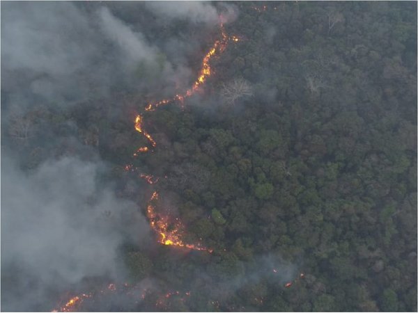 Se reportan más de 20 áreas de incendios forestales en Paraguay