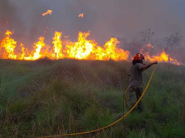 Bomberos y guardias forestales de Itaipu lograron controlar incendio en Reserva Tatí Yupí