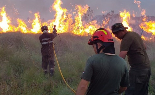 Bomberos y guardias forestales de ITAIPU lograron controlar incendios