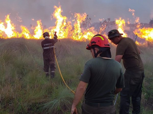 Brasileños dispararon contra bomberos que combatían incendio forestal