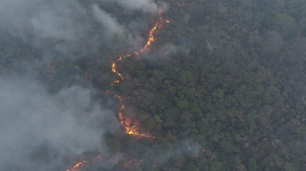 Incendios forestales: Emergencia ambiental para Alto Paraguay y Boquerón » Ñanduti