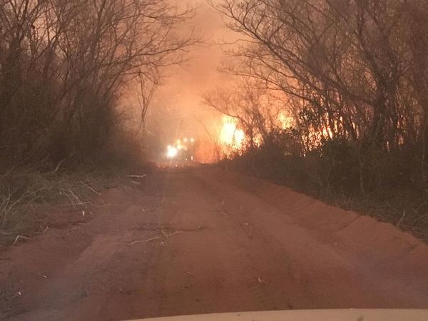 Declaran emergencia ambiental por incendios - Nacionales - ABC Color