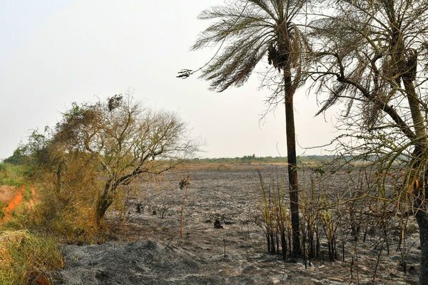 Controlan incendio que afectó unas 35 hectáreas de la reserva Tatí Yupí