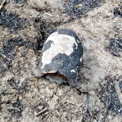 “Fue como ver un infierno”, dicen rescatistas - Nacionales - ABC Color