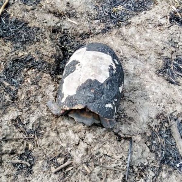 “Fue como ver un infierno”, dicen rescatistas - Nacionales - ABC Color