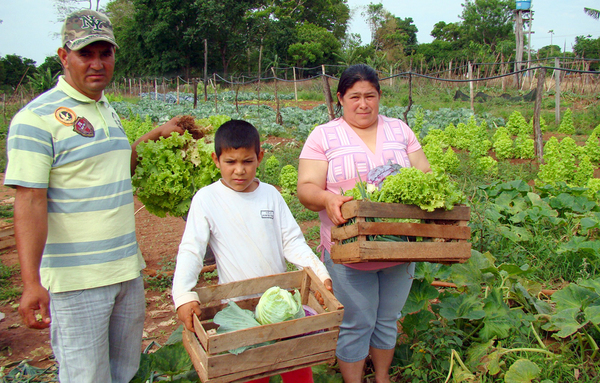 Fomento a la agricultura familiar campesina e indígena mediante programas e inversiones del MAG | .::Agencia IP::.