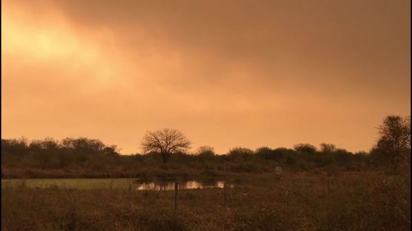 Incendios amenazan a población de Alto Paraguay - Nacionales - ABC Color