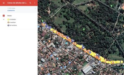 Censan con Google Maps a los árboles del Botánico que serán afectados por viaducto - Nacionales - ABC Color