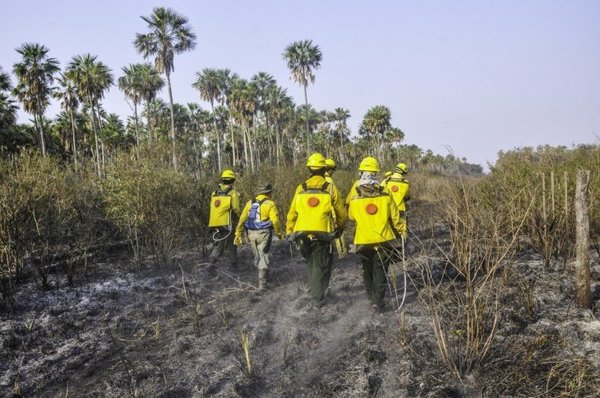 Ejecutivo promulga ley de emergencia ambiental en el Chaco