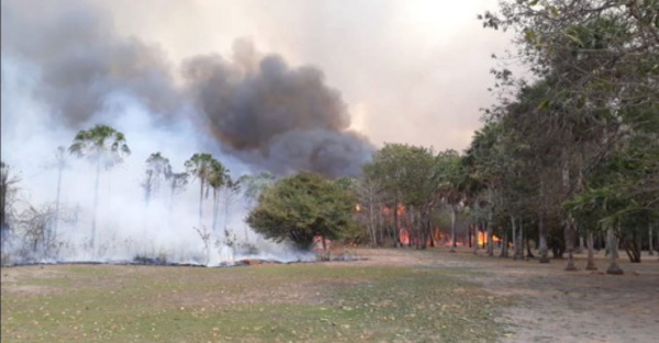 Según satélite, hay más de 2 mil focos de fuego