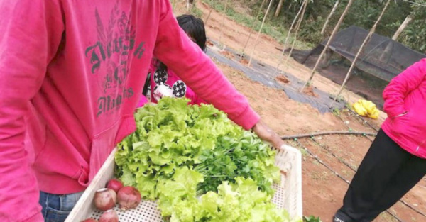 Agricultura social para reinserción