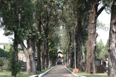 Trabajar y vivir con la muerte en las narices