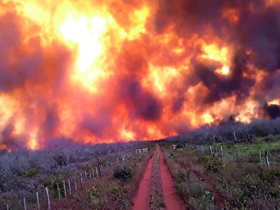 Arde Paraguay: Voraz fuego no retrocede y afecta más localidades