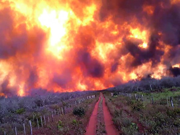 Arde Paraguay: Voraz fuego no retrocede y afecta más localidades