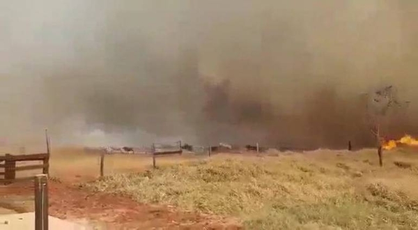 HOY / Fuego avanza descontroladamente en el Chaco paraguayo