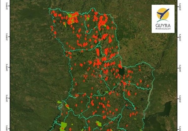 Queman bosques para habilitar cultivos, advierte ONG