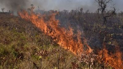 Incendios en el Amazonas: el fuego sigue “fuera de control” en Bolivia