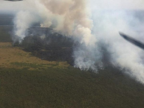 Guyra Paraguay advierte que todos los incendios forestales fueron provocados