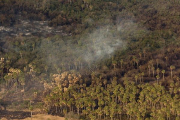 Preocupa falta de lluvias en el Chaco ante avance del fuego