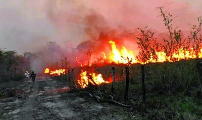 Incendios en Bolivia ya arrasaron 2.1 millones de hectáreas de bosques