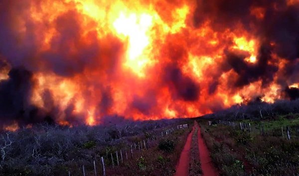 ARDE PARAGUAY: VORAZ FUEGO NO RETROCEDE Y AFECTA MÁS LOCALIDADES