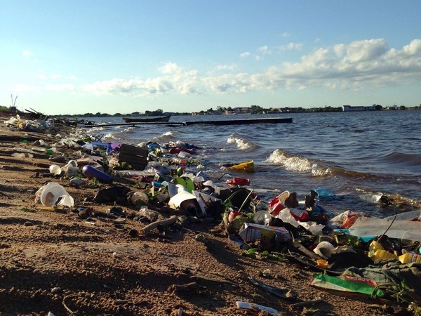 Guyra Paraguay invita a la jornada de limpieza 'Un día por tu Bahía' » Ñanduti