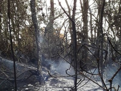 Nuevo incendio afectó a unas 4 hectáreas en Hernandarias