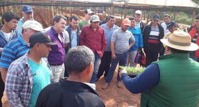 El MAG organizó gira técnica sobre producción de hortalizas y construcción de invernadero rustico