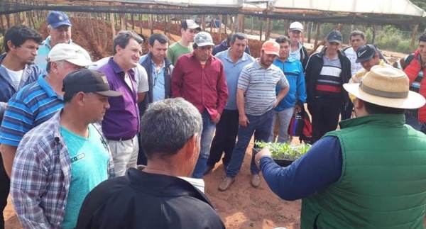 El MAG organizó gira técnica sobre producción de hortalizas y construcción de invernadero rustico