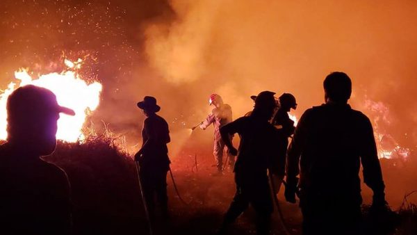 Un Chaco que agoniza entre llamas y cenizas