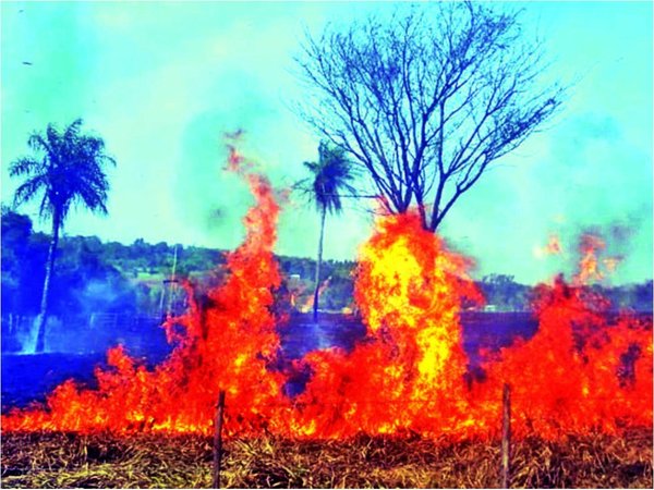 Más de 2.000 focos de calor siguen activos en Paraguay