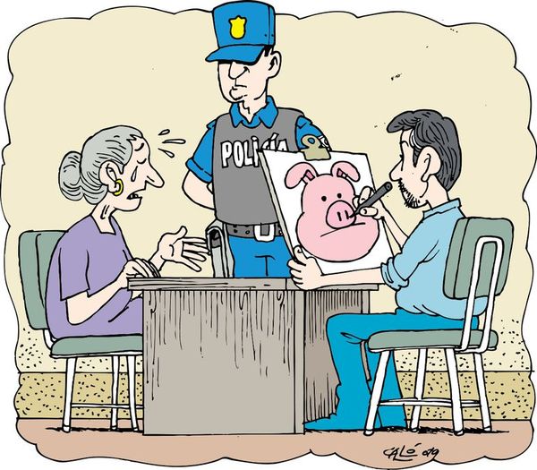 Ordenan la búsqueda de una cerdita - Judiciales y Policiales - ABC Color