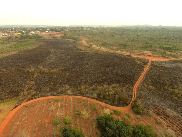 Alarmantes focos de incendios registrados en el Alto Paraná