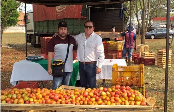Con ferias hortícolas, estimulan ventas de tomate en Alto Paraná