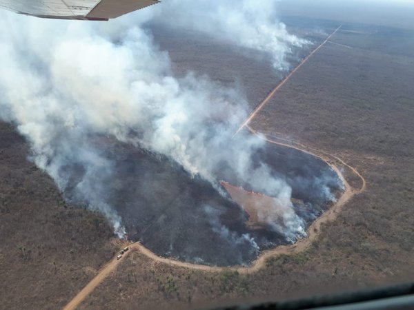 Cerditos muertos, casas incendiadas y un cielo oscuro a media tarde son por los incendios